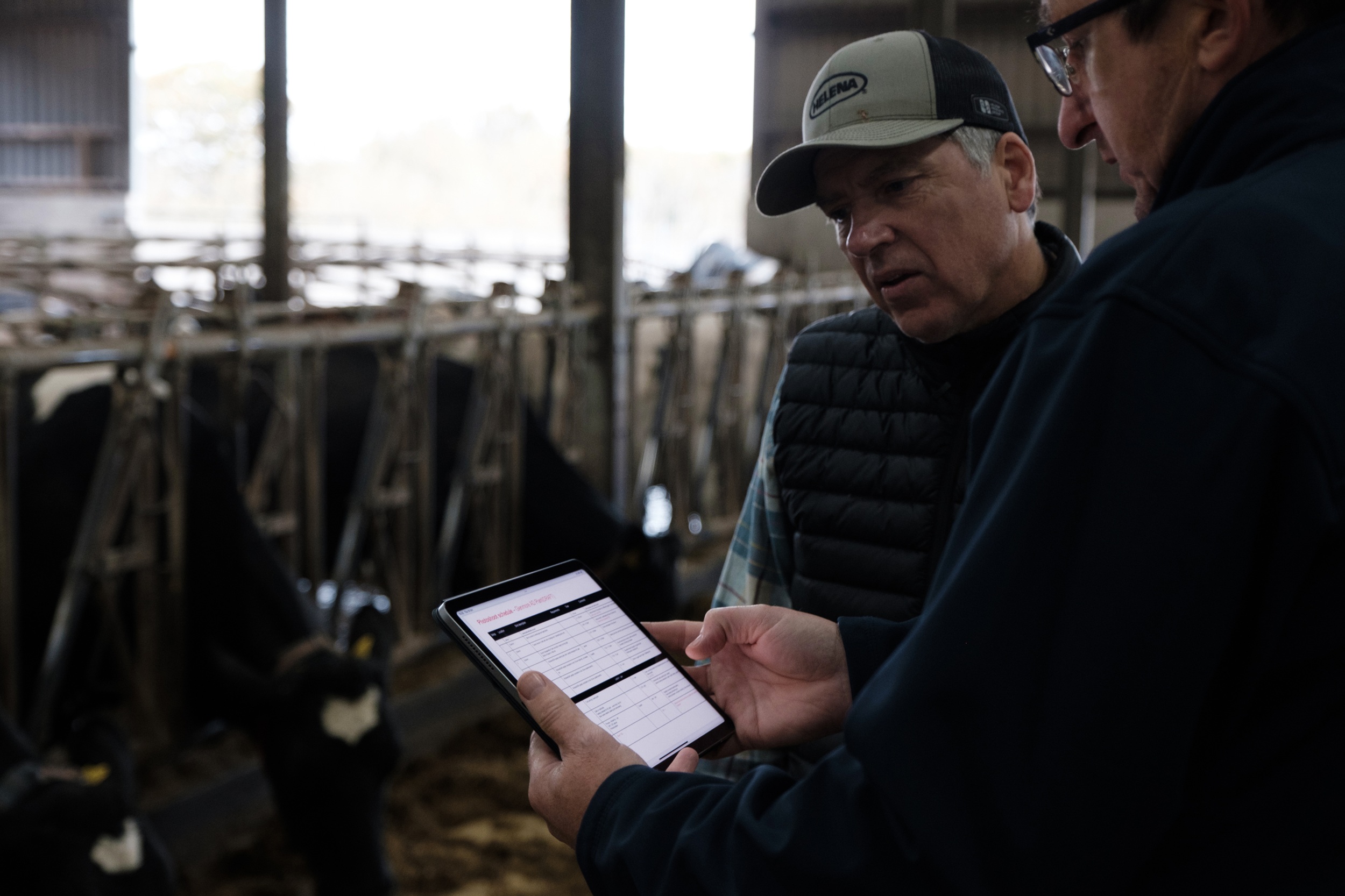 Glenmore Biomethane Anaerobic Digestion Plant